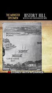 7.2K views · 100 reactions | The Gold That Changed Australian...