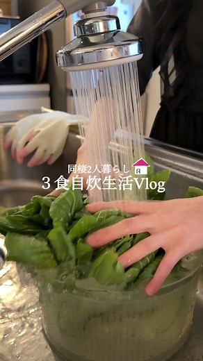 チンゲン菜でヘルシー蒸し焼売風