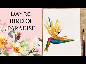 Day 30 - watercolor Bird of Paradise