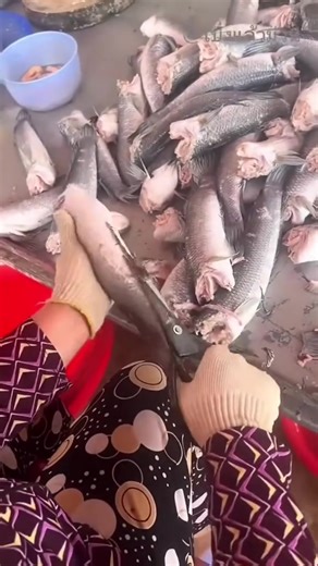 Essential Kitchen Scissors for Effortless Meal Prep