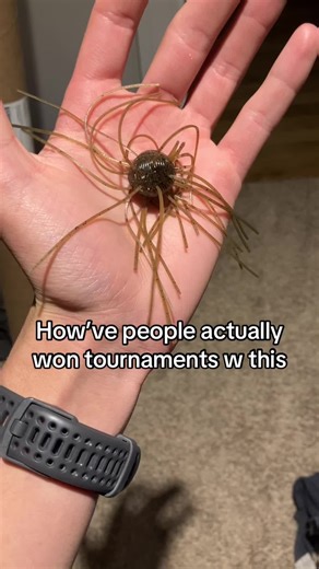 Winning Bass Tournaments: Tips and Lure Strategies