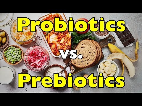 Probiotics vs. Prebiotics: What’s the Real Difference?