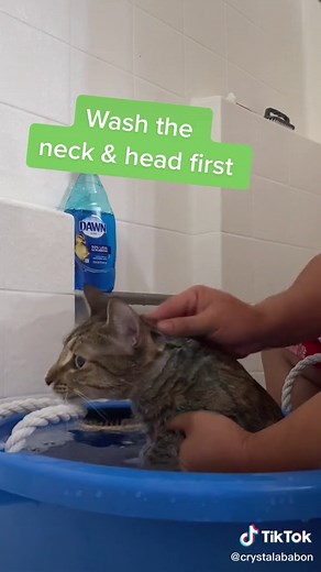 Crystal Ababon on TikTok