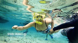 Craving for a 🏝 beach vacay? In 🇫🇯 Fiji, you’ll find yourself jumping right into a picture-perfect postcard, with an abundance of 🏖 white sand beaches fringed by swaying 🌴palm trees and 💧crystal blue waters. 😍 Consider Fiji for your next holiday destination : http://bit.ly/EUFiji EU Holidays ☎ - 6958 8888 📧 - fit@euholidays.com.sg 💻 - www.euholidays.com.sg #iluvEU #EUTravelExpo | EU Holidays