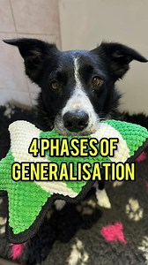 In dog training, generalizing behavior across different conditions is essential for creating reliable responses. The four key areas to focus on are: 🐶🐾 Distance: Training the dog to respond to cues from varying distances, ensuring they follow cues even when the handler is farther away. 🐶🐾 Duration: Teaching the dog to maintain a behavior for extended periods, reinforcing the expectation that the behavior continues until released. 🐶🐾 Distraction: Ensuring the dog can perform the behavior in