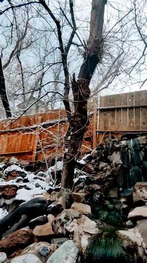 detracting on top of a mountain 🗻