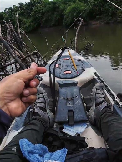 พายคายัคตกปลาหมอตะกรับ มาลุ้นกันครับน้าๆ 🥰#kayakfishing #camping #outdoors #adventure