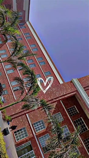 A Day in the Life of a Graphic Designer