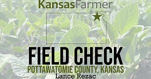 Kansas soybean farmer anticipates harvest, emphasizes trade importance