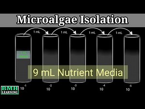 Microalgae Isolation Techniques