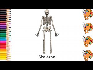 Skeleton - Sketch Art and Paint | Step by step tutorial | Pencil to Palette