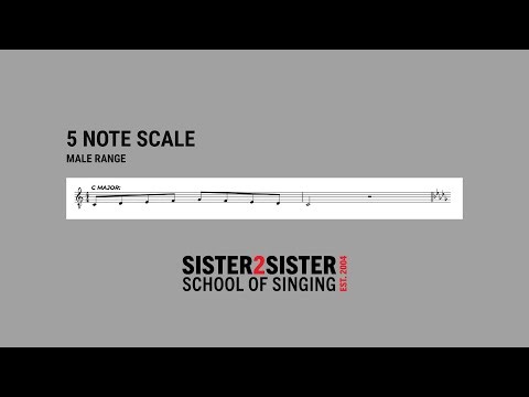 5 Note Scale MALE Vocal Exercise