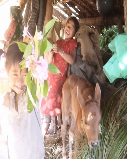 15K views · 186 reactions | Village documentary - Daily life of villagers | Harvest Village | Facebook