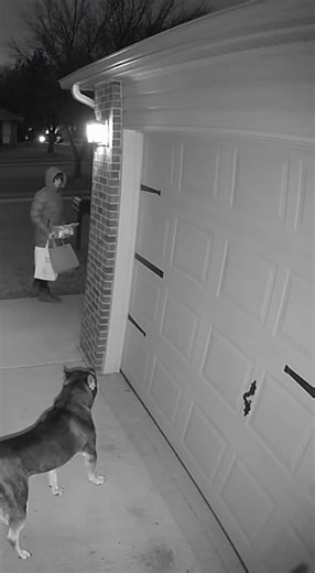 CCTV Captures Terrifying Dog Attack in Quiet U.S. Neighborhood #cctvfootage #shorts #dog #dogattack