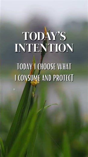 Control Your Inputs (Fix Your Mindset & Results Fast)