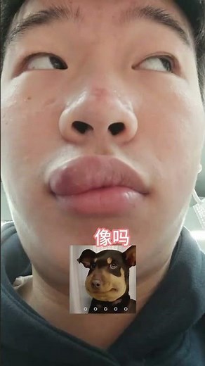 How to Celebrate Spring Festival Like a Pro in China