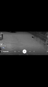 Neighborhood rat patrol reporting for duty | Cheektowaga Scanner