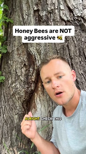 5.9K views · 222 reactions | Honey bee facts I bet you didn’t know...