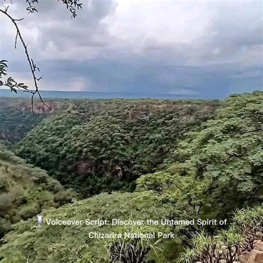 4.3K views · 61 reactions | Visit Zimbabwe | Discover Zimbabwe | Facebook