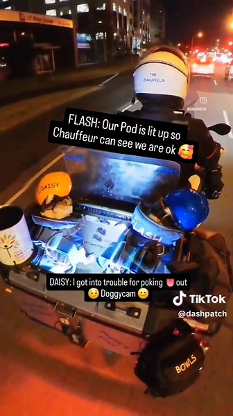 @dashpatch (@dashpatch)’s videos with original sound - @dashpatch