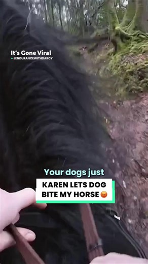 Dog owners need to be more responsible