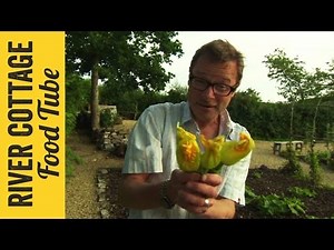 Deep Fried Courgette Flowers | Hugh Fearnley-Whittingstall