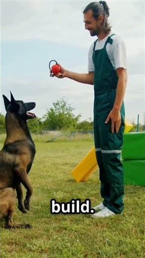 These 3 Puppy Training Hacks Changed Everything #dogtraining #puppylife