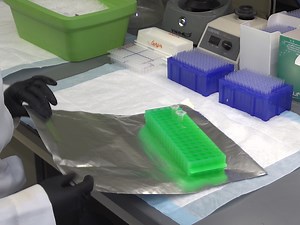 Electrochemiluminescence Assays for Human Islet Autoantibodies