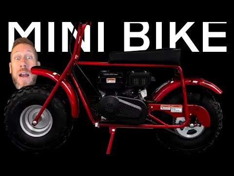 Another MINIBIKE? Coleman CT200 Predator Engine