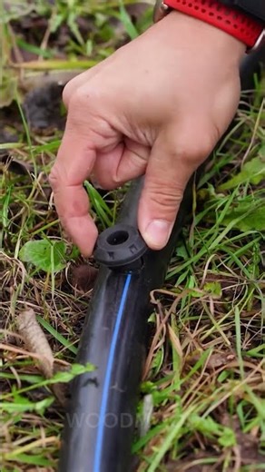 How to install drip irrigation in a HDPE pipe 💧