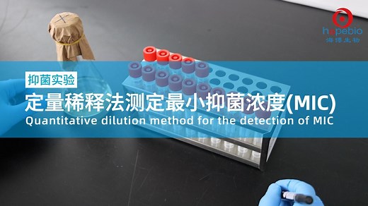 定量稀释法测定最小抑菌浓度（MIC）