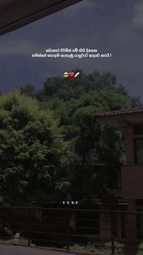 Best Friend Sinhala Quotes TikTok Compilation