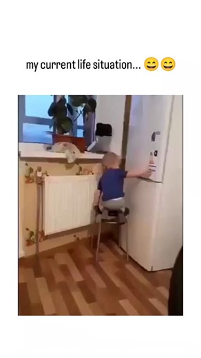 Vicky__hubs on Instagram: "The post features a 35-second video of a toddler comically failing to open a heavy fridge door despite multiple creative attempts, from standing on a chair to climbing and pushing, captioned as the poster's "current life situation" with laughing emojis, highlighting relatable adult frustrations through childlike persistence. It garnered 1,170 likes and 38,896 views within hours, sparking 104 replies where users shared similar everyday mishaps, like head bumps from free