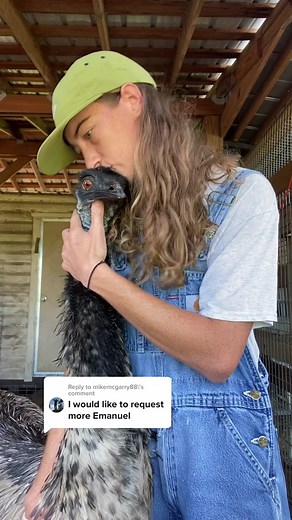 Emmanuel the Emu: Cuddles and Controversy on Knuckle Bump Farms