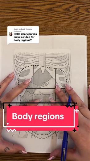Understanding Body Regions in Anatomy and Physiology