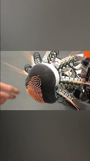 This is a rat robot so you can better understand rats