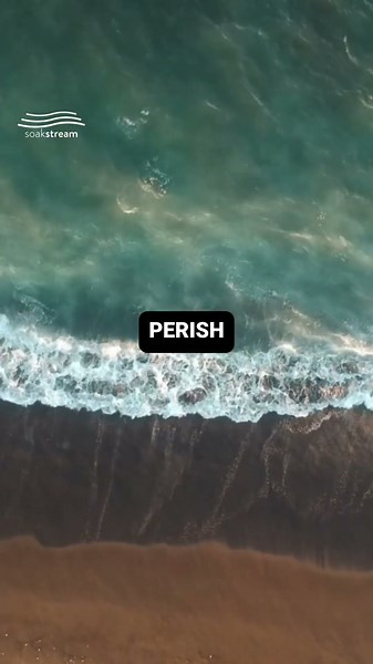 This Scripture Might Be Your Sign Today