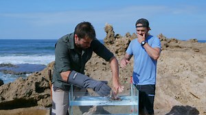 Watch Kings of Pain Season 1 Episode 2 | HISTORY Channel