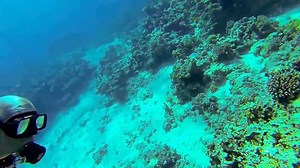 Caspian sea underwater dive