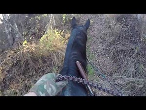 Horse Tack, The Perfect Saddle and Setup for Horseback Hunting and Camping
