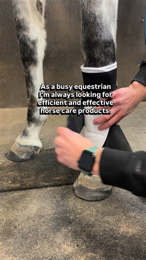 StrappyWrap™ | Ultimate Quick Apply Horse Wraps | Save yourself countless minutes by skipping the endless rerolling of wraps! 🤌🏻 StrappyWrap streamlines the wrapping process while still... | Instagram