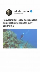 11M views · 10K reactions | Sonar ping adalah bunyi nyaring yang...