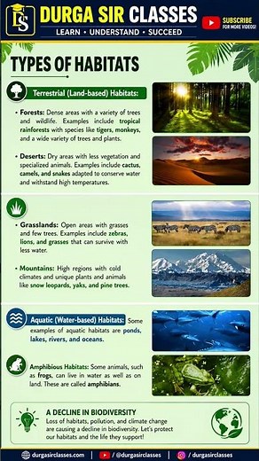 Types of Habitats Explained | Forest, Desert, Grassland, Aquatic & Amphibious | Class 6 Science
