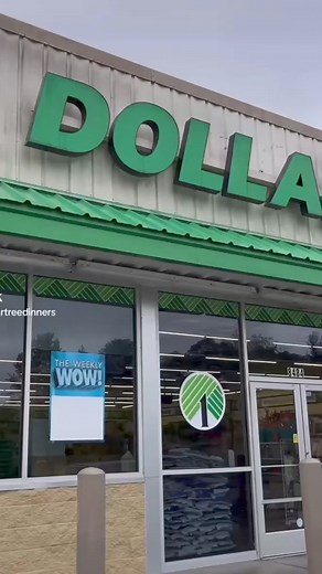 Trying Dollar Tree Frozen Food! #dollartreedinners #dollartreefood #dollartreefrozensection #dollartreetastetest #dollartreereviews #dollartreegroceries | ED Dougherty