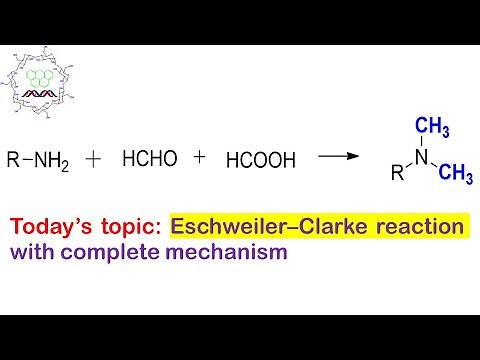 Eschweiler–Clarke reaction: Methylation on amines.