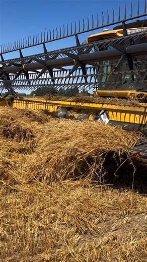 Rocky Mountain Farmer on Instagram: "Combine startup. #farming #agriculture #grain #"