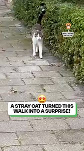 What an adorable duo 😍❤️ | Fluffy Animals