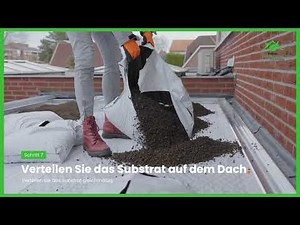 Dachbegrünung Flachdach Aufbau - Anleitung Klassisches Gründach (mit Sedum und Kräutern)