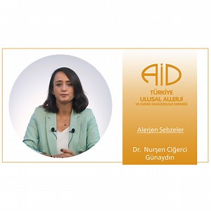 Alerjen sebzeler | Türkiye Ulusal Alerji ve Klinik İmmünoloji Derneği