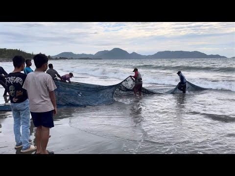 Amazing! Haul Seine Net Fishing!